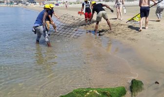 spiagge e fondali puliti