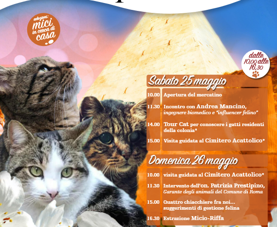 i gatti della piramide
